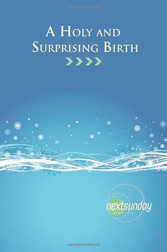 Imagen de archivo de A Holy and Surprising Birth a la venta por Revaluation Books