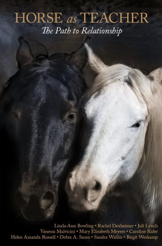 Stock image for Horse as Teacher The Path to Relationship for sale by Chequamegon Books