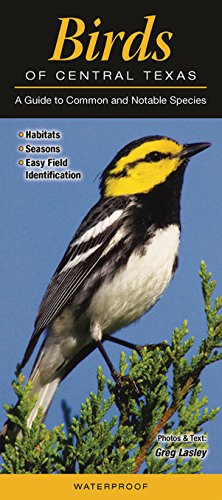 Stock image for Birds of Central Texas: A Guide to Common and Notable Species (Quic for sale by Hawking Books