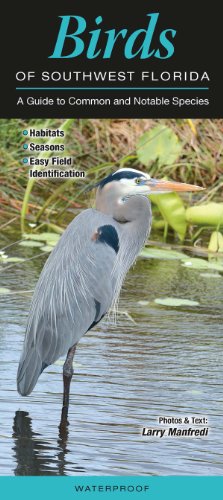 Stock image for Birds of Southwest Florida: A Guide to Common & Notable Species (Quick Reference Guides) for sale by BooksRun