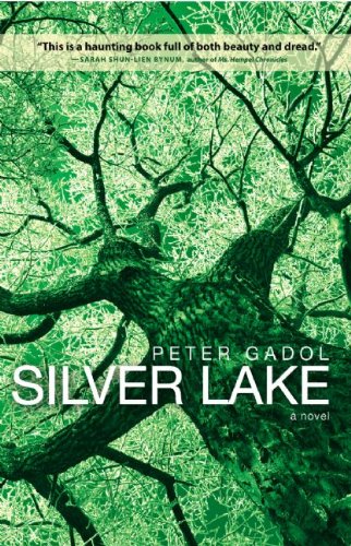 Beispielbild fr Silver Lake zum Verkauf von Better World Books