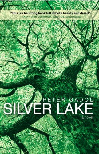 Imagen de archivo de Silver Lake a la venta por Irish Booksellers