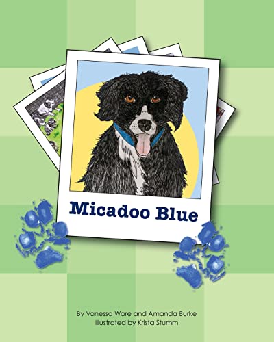 Stock image for Micadoo Blue for sale by Lucky's Textbooks