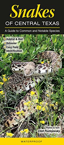 Stock image for Snakes of Central Texas: A Guide to Common Notable Species (Quick Reference Guides) for sale by Red's Corner LLC