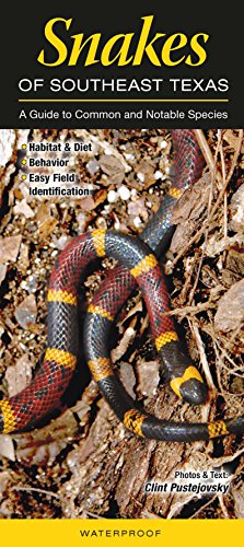 Stock image for Snakes of Southeast Texas: A Guide to Common Notable Species (Quick Reference Guides) for sale by Goodwill of Colorado