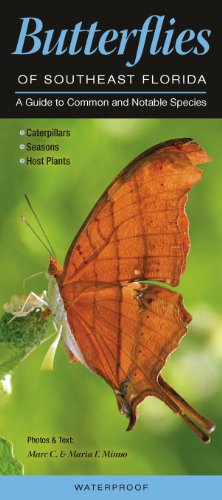 Imagen de archivo de Butterflies of Southeast Florida: A Guide to Common & Notable Species (Quick Reference Guides) a la venta por Lakeside Books