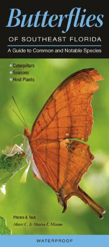 Butterflies of Southeast Florida: A Guide to Common & Notable Species (Quick Reference Guides) (9780982551660) by Marc C. Minno; Maria F. Minno