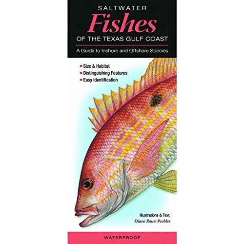 Gulf Coast Fish Species Chart