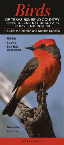 Stock image for Birds of Texas Big Bend Country incl. Big Bend National Park & Davis Mtns.: A Guide to Common & Notable Species for sale by HPB-Diamond