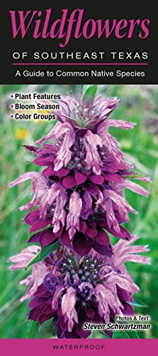 9780982621165: Wildflowers of Southeast Texas: A Guide to Common Native Species (Quick Reference Guides)
