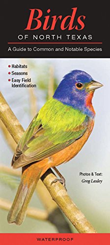 Stock image for Birds of North Texas: A Guide to Common Notable Species (Quick Reference Guides) for sale by Goodwill of Colorado