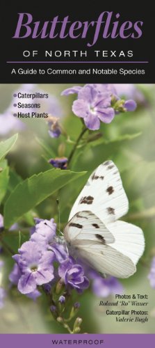 Stock image for Butterflies of North Texas: A Guide to Common & Notable Species (Quick Reference Guides) for sale by Half Price Books Inc.