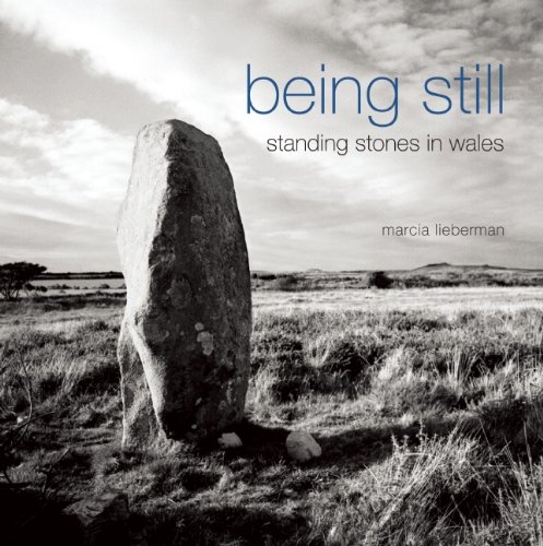 Stock image for Being Still: Standing Stones in Wales for sale by ThriftBooks-Dallas
