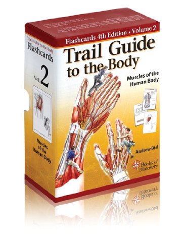 Stock image for Trail Guide to the Body Flashcards Vol 2: Muscles of the Body for sale by Half Price Books Inc.