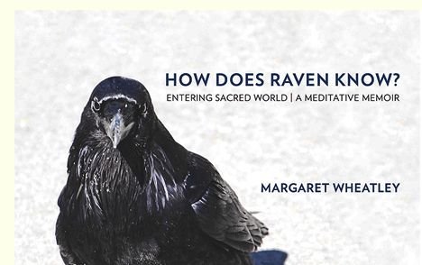 Beispielbild fr How Does Raven Know? zum Verkauf von Books From California