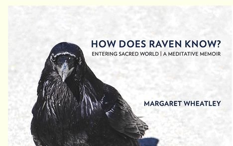 Stock image for How Does Raven Know? for sale by Half Price Books Inc.