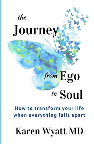 Stock image for The Journey from Ego to Soul: How to Transform Your Life When Everything Falls Apart for sale by GreatBookPrices