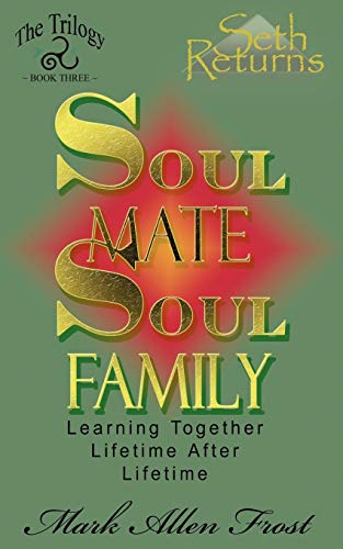 Imagen de archivo de Soul Mate Soul Family a la venta por Lucky's Textbooks