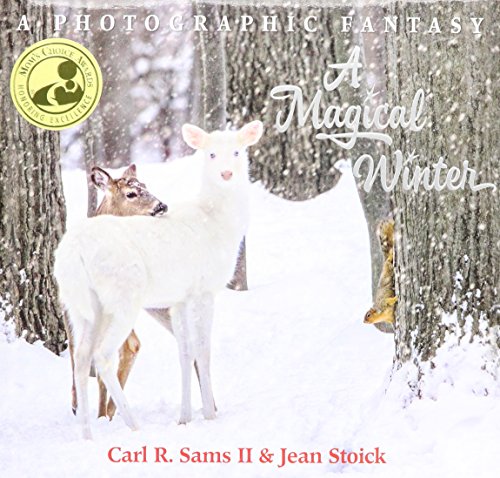 Imagen de archivo de A Magical Winter: A Photographic Fantasy a la venta por ZBK Books