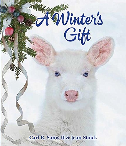 Imagen de archivo de A Winter's Gift a la venta por ThriftBooks-Atlanta