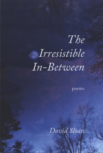 The Irresistible In-Between (9780982810071) by David Sloan