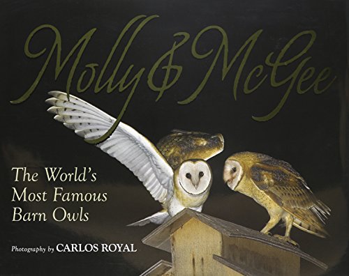 Stock image for Molly & McGee: The World's Most Famous Barn Owls for sale by SecondSale