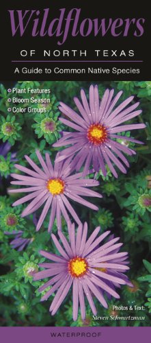 Beispielbild fr Wildflowers of North Texas : A Guide to Common Native Species zum Verkauf von Better World Books