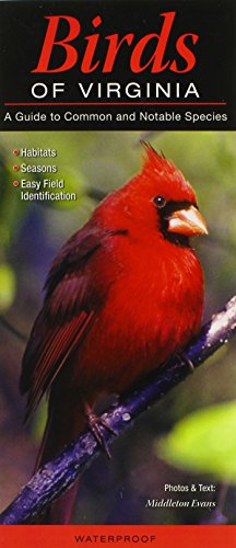 

Birds of Virginia: A Guide to Common & Notable Species (Quick Reference Guides)