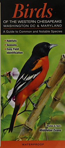 Imagen de archivo de Birds of the Western Chesapeake: Washington DC & Maryland: A Guide to Common & Notable Species (Quick Reference Guides) a la venta por Wonder Book