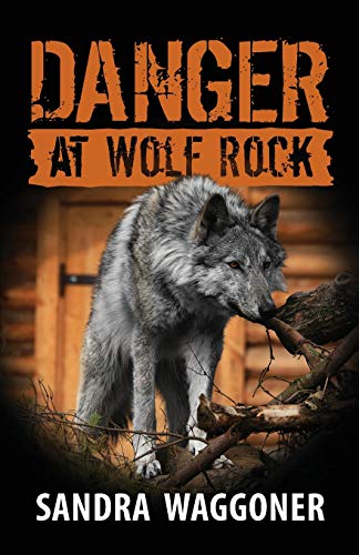 Stock image for Danger at Wolf Rock for sale by Reliant Bookstore