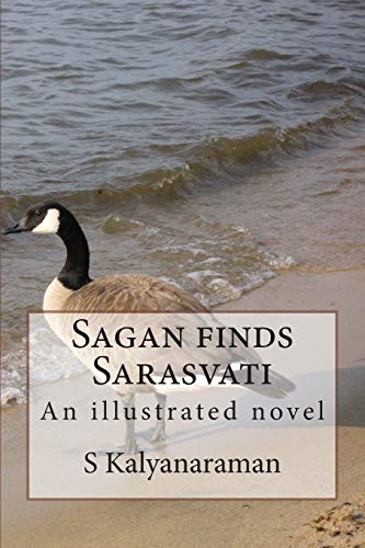 Beispielbild fr Sagan Finds Sarasvati: An Illustrated Novel zum Verkauf von PsychoBabel & Skoob Books