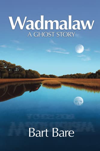 9780982905401: Wadmalaw: A Ghost Story