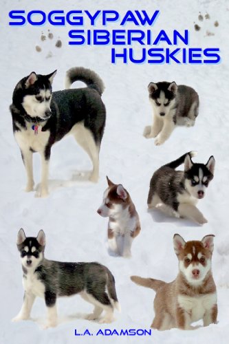 Stock image for Soggypaw Siberian Huskies for sale by FCD Books & More