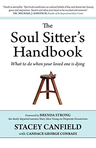 Imagen de archivo de The Soul Sitter's Handbook: What to do when your loved one is dying a la venta por Gulf Coast Books