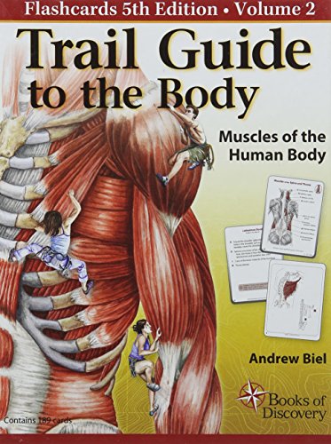 Beispielbild fr Trail Guide to the Body Flashcards: Muscles of the Human Body: 2 zum Verkauf von HPB-Red