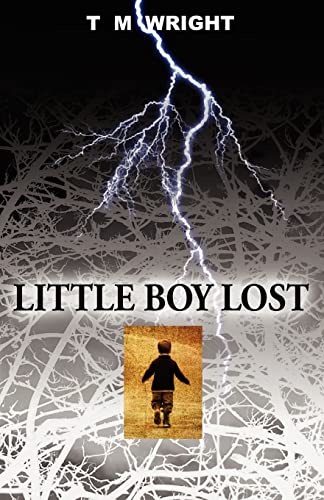 Little Boy Lost (9780983045748) by Wright, T M