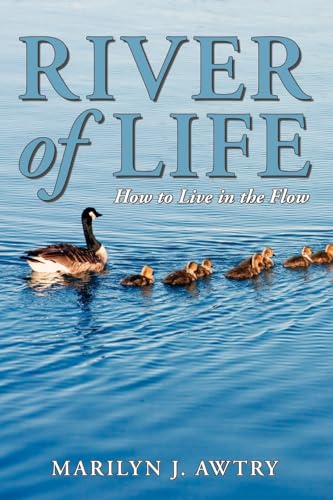 Stock image for River of Life - How to Live in the Flow for sale by SecondSale