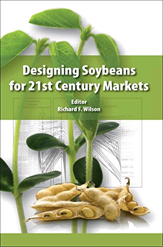 Stock image for Designing Soybeans for 21st Century Markets for sale by Chiron Media