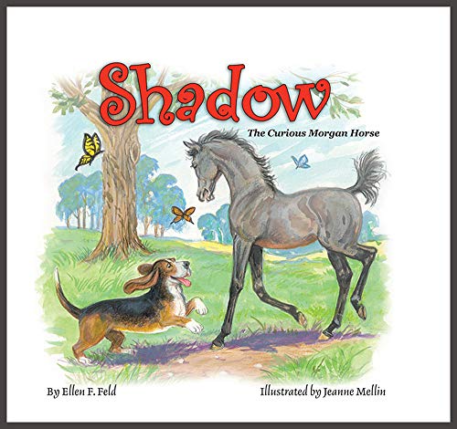 Beispielbild fr Shadow: The Curious Morgan Horse (Morgan Horse Series) zum Verkauf von SecondSale