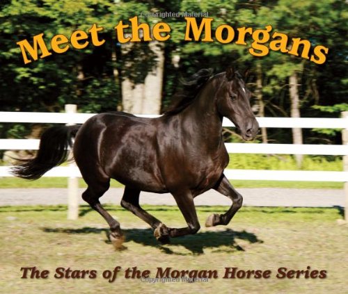 Stock image for Meet the Morgans: The Stars of the Morgan Horse for sale by ZBK Books
