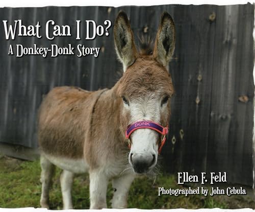 Stock image for What Can I Do? A Donkey-Donk Story (Book 1) for sale by SecondSale