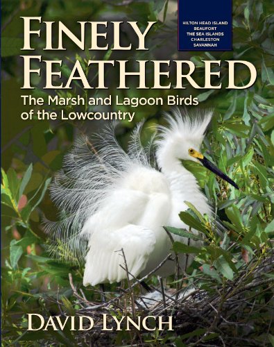 Stock image for Finely Feathered : The Marsh and Lagoon Birds of the Lowcountry for sale by Fact or Fiction