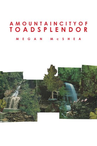 Stock image for A Mountain City of Toad Splendor for sale by Better World Books