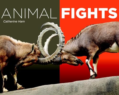Imagen de archivo de Animal Fights a la venta por Better World Books