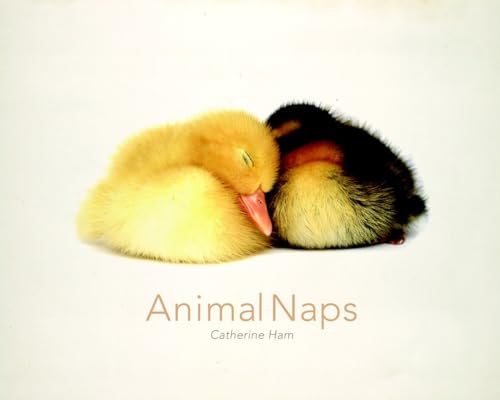 Beispielbild fr Animal Naps zum Verkauf von Better World Books: West