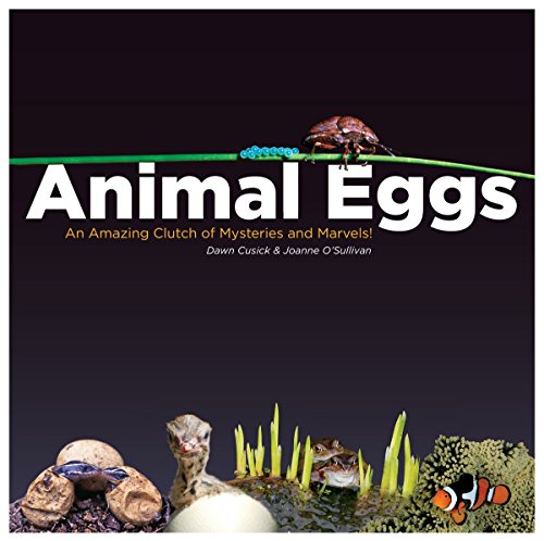 Beispielbild fr Animal Eggs: An Amazing Clutch of Mysteries and Marvels zum Verkauf von HPB-Diamond