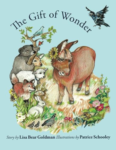 Stock image for The Gift of Wonder for sale by -OnTimeBooks-