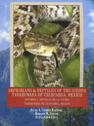 9780983278955: Amphibians & Reptiles of the Sierra Tarahumara (Hard Cover)