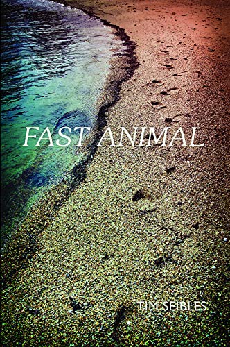 Imagen de archivo de Fast Animal a la venta por Wonder Book