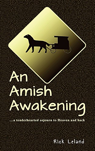 Stock image for An Amish Awakening: a tenderhearted sojourn to Heaven and back for sale by ThriftBooks-Dallas